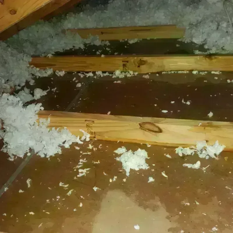 Attic Water Damage in Habersham County, GA